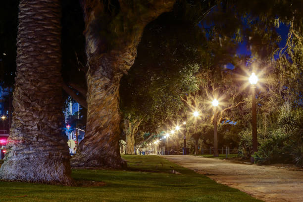 istock Palisades Park, Santa Monica California 653749730