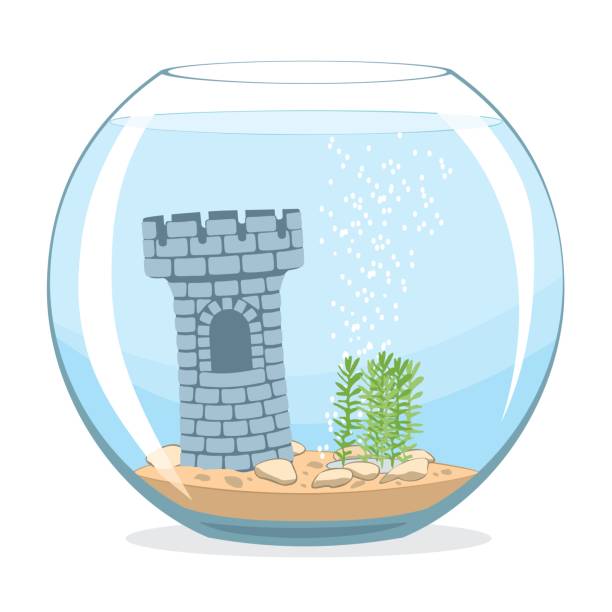 Fishbowl aquarium Fishbowl aquarium with castle on white background. Vector illustration goldfish bowl stock illustrations