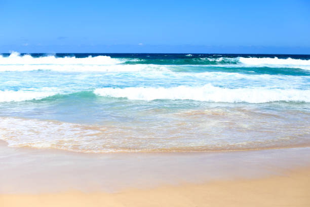 istock Bondi Beach in Sydney, Australia 653751976