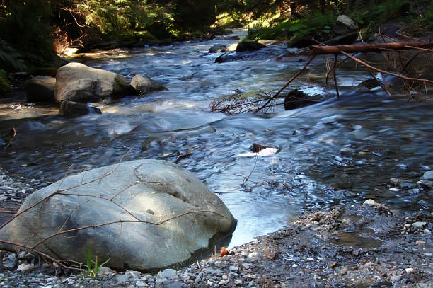 istock Mountain forest river, rocks close up outdoor 653752022