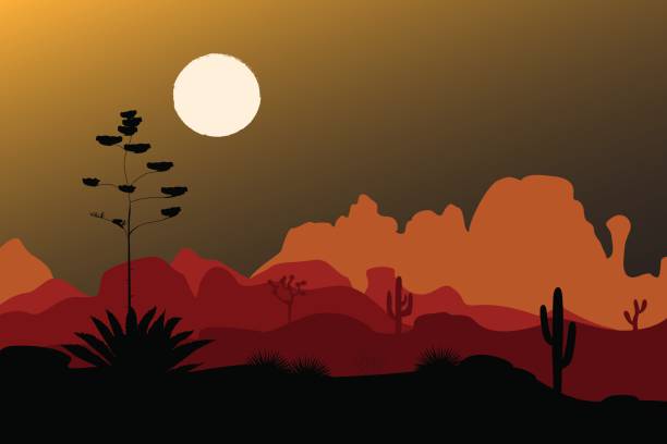 ilustrações, clipart, desenhos animados e ícones de silhueta de agave azul no deserto à noite. fundo de montanhas. ilustração vetorial - sonoran desert illustrations