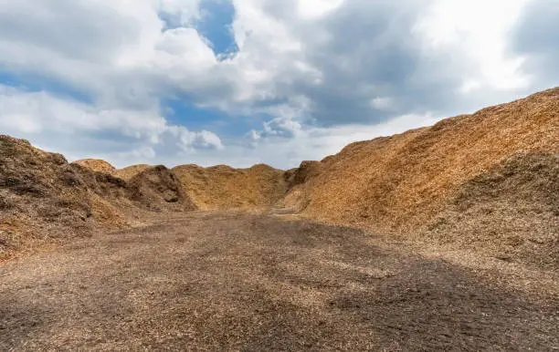 Large heaps of woodchips on an outdoor place
