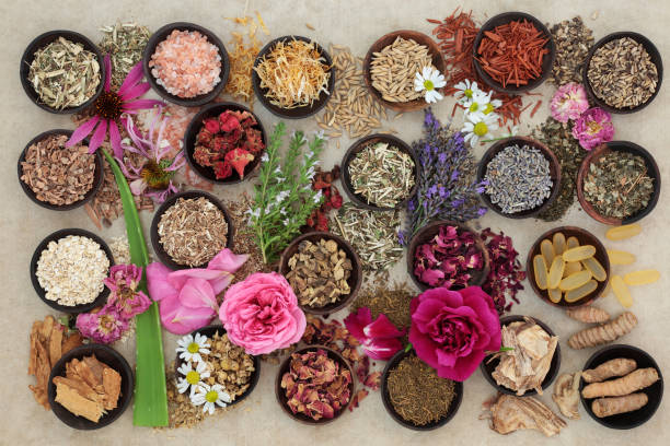 istock Herbs and Flowers for Skin Disorders 653754680