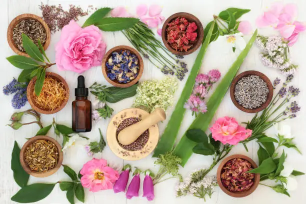 Photo of Healing Flowers and Herbs