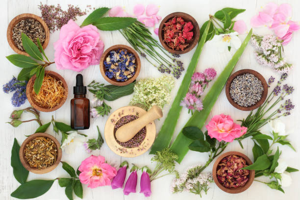 исцеление цветы и травы - alternative medicine mortar and pestle herbal medicine herb стоковые фото и изображения