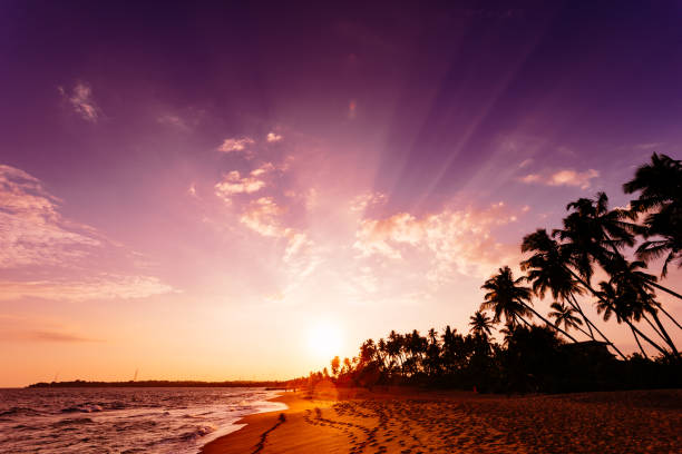 istock Beautiful landscape tropical beach. 653764184