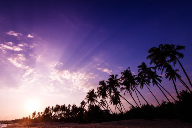 tramonto fantastico sulla spiaggia - picturesque america or the land we live in foto e immagini stock