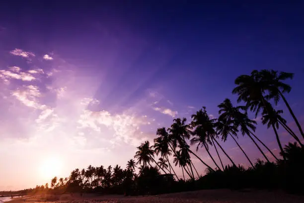 Photo of Fantastic sunset on the beach