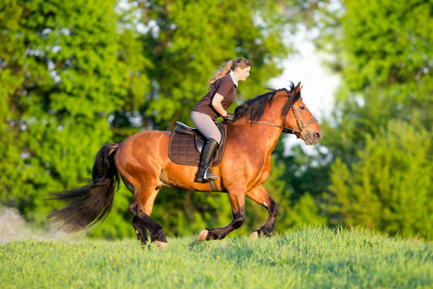 istock Young woman is riding a horse in summertime 653764270