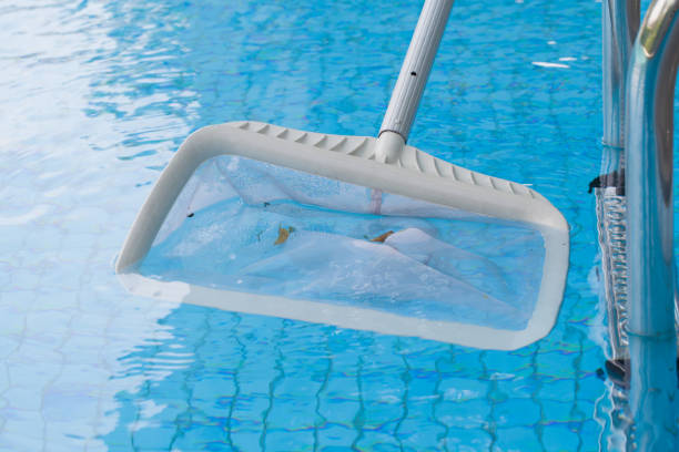 istock Cleaning swimming pool of fall leaves with white skimmer before closing 653764580