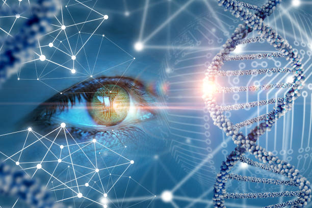 The study and observation of DNA.