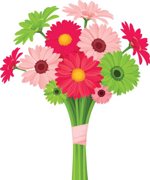 illustrations, cliparts, dessins animés et icônes de bouquet de fleurs de gerbera rose et vert. illustration vectorielle. - flower head bouquet daisy petal