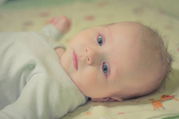 istock Baby boy. 3,5 month 653773120