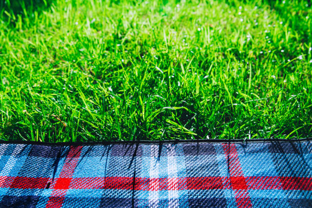 istock Checkered plaid for picnic on green grass. Background photo 653775342