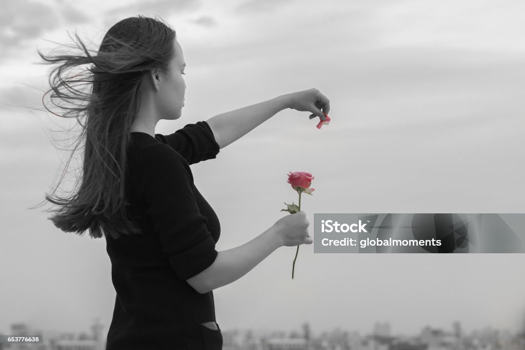 A beautiful lonely woman hoping for love in front of a city view, playing he loves me, he loves me not Dreary sky background. Young woman in black shirt. Side profile. Holding rose. Black and white with isolated rose in color. Loves Me Loves Me Not Stock Photo