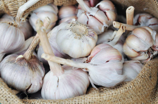 istock Dried whole garlic in burlap sack in asia 653777996