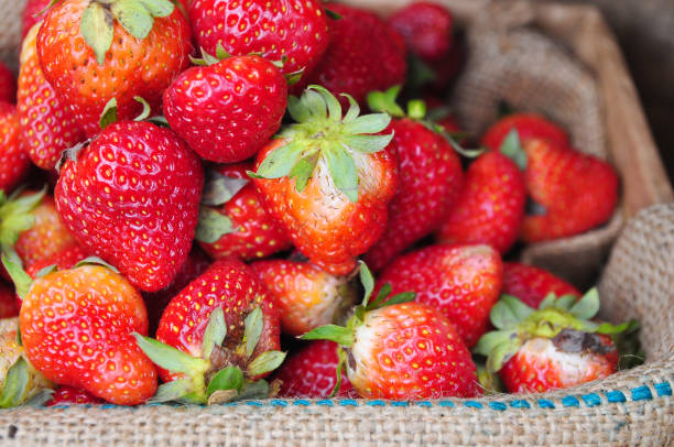 istock Red fresh strawberries in burlap sack 653778760