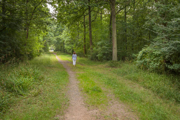 istock Woman walking in Forest 653781160