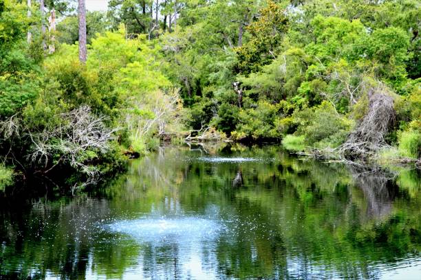 istock Baytowne Village, Florida 653782034