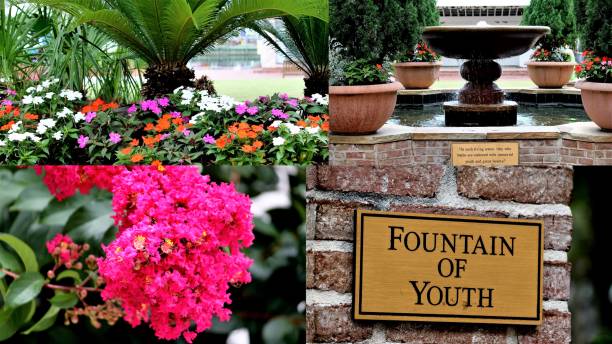 istock Baytowne Village, Florida 653782060