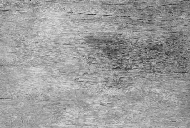 istock Closeup surface wood pattern at the old and crack wood table texture background in black and white tone 653789294