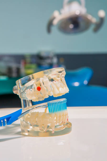 istock Dental Teeth Model and dental tool 653791896
