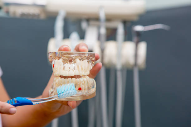 istock Dental Teeth Model and dental tool 653791976