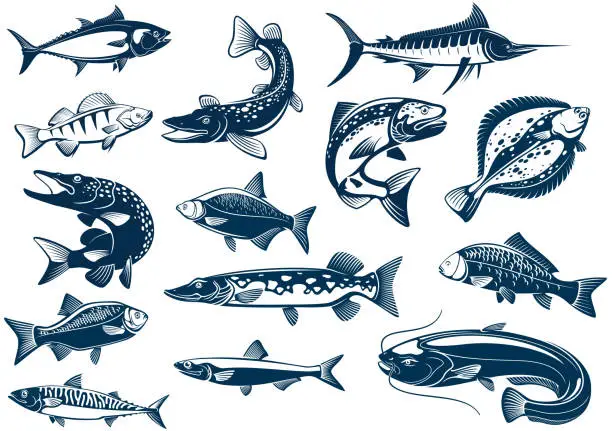 Vector illustration of Fishes species vector isolated icons
