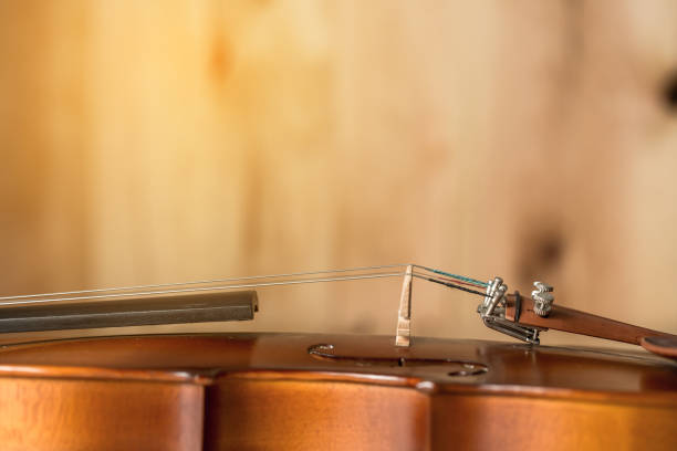 istock Violin on wooden background 653800646