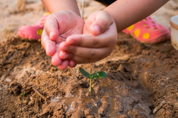 istock Children planting forests to reduce global warming, Concept afforest. 653802764