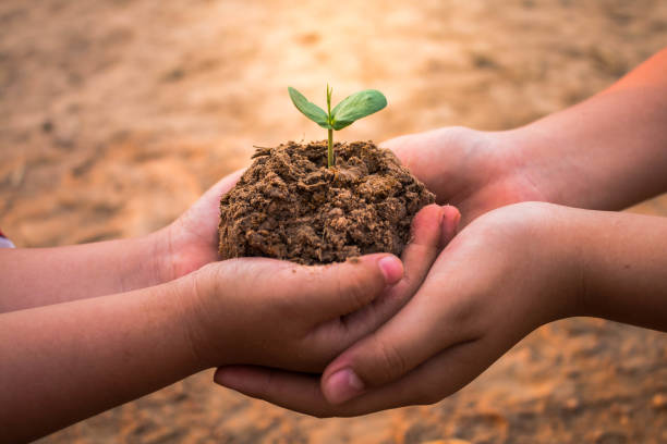 istock Children planting forests to reduce global warming, Concept afforest. 653803126