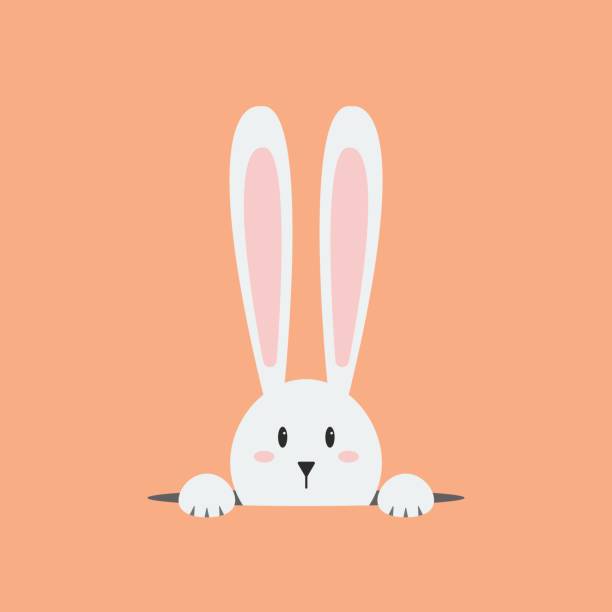 White easter rabbit vector art illustration