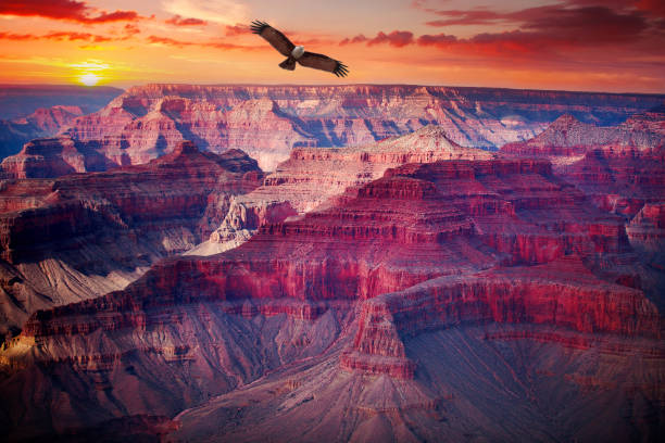 istock Grand Canyon National Park 653807070