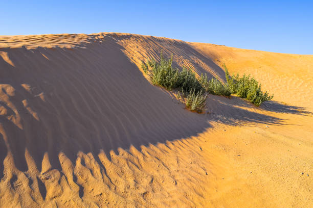 istock Road across Sahara desert 653811386