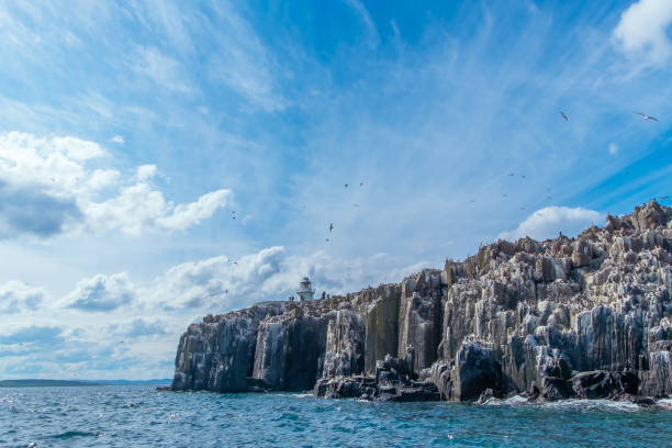 Inner Farne Island Inner Farne island with cliffs and lighthouse on a sunny day farne islands stock pictures, royalty-free photos & images