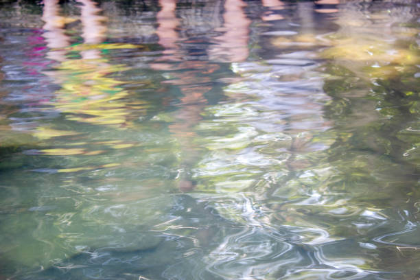 istock photo background of hot spring water 653817678