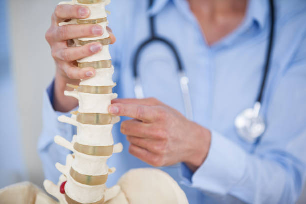 istock Female doctor holding spine model 653819366