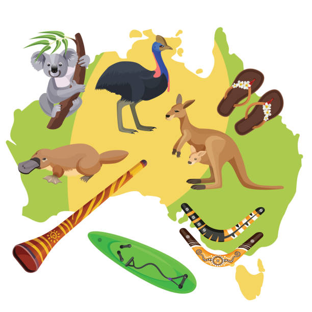 Australia symbols on map. Koala, kangaroo, surfboard, boomerang, ostrich, platypus, Australia symbols set isolated on map. Koala and kangaroo, sport activities surfboard and boomerang, flightless bird ostrich, duck-billed platypus, didgeridoo wind instrument vector illustration didgeridoo stock illustrations