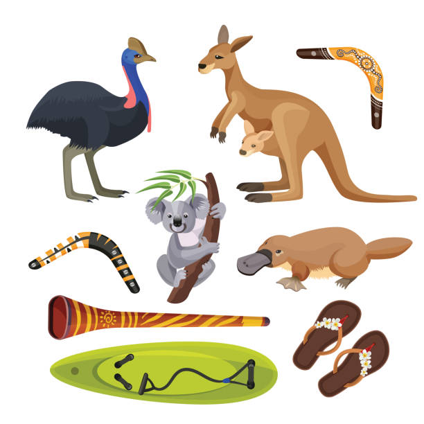 オーストラリアのシンボルが分離されました。コアラ、カンガルー、サーフボード、ブーメラン、ダチョウ、カモノハシ、ディジュリドゥ - koala sign australian culture animal点のイラスト素材／クリップアート素材／マンガ素材／アイコン素材