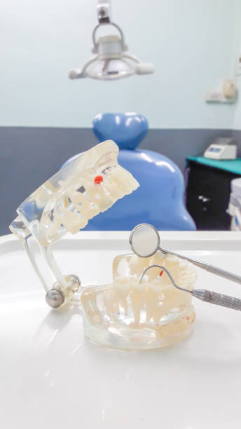 istock Dental Teeth Model and dental tool 653822612
