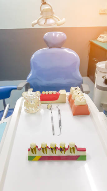 istock Dental Teeth Model and dental tool 653823054