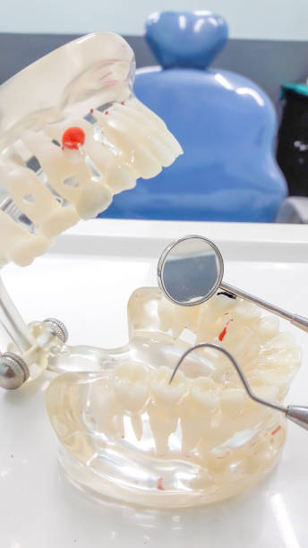 istock Dental Teeth Model and dental tool 653826370