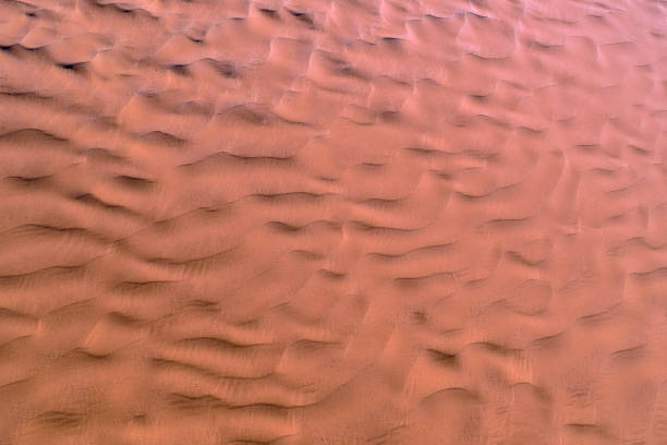 istock Sahara Desert Texture, Wallpaper and Background 653827684