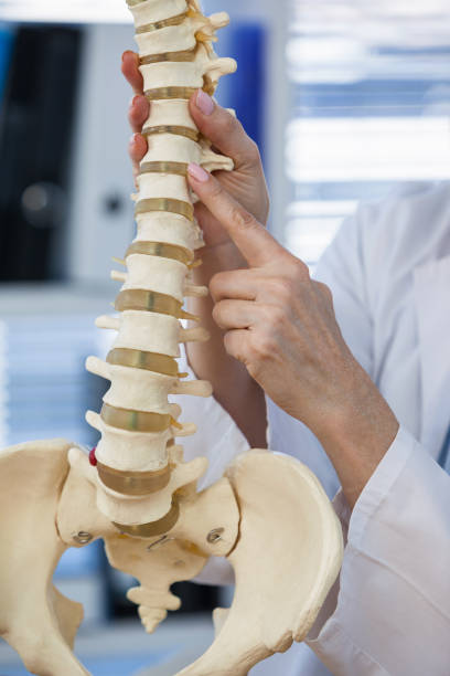 istock Female doctor holding spine model 653827916