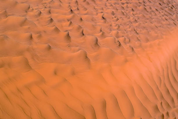 istock Sahara Desert Texture, Wallpaper and Background 653828592
