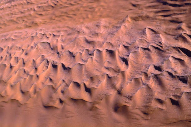 istock Sahara Desert Texture, Wallpaper and Background 653828856