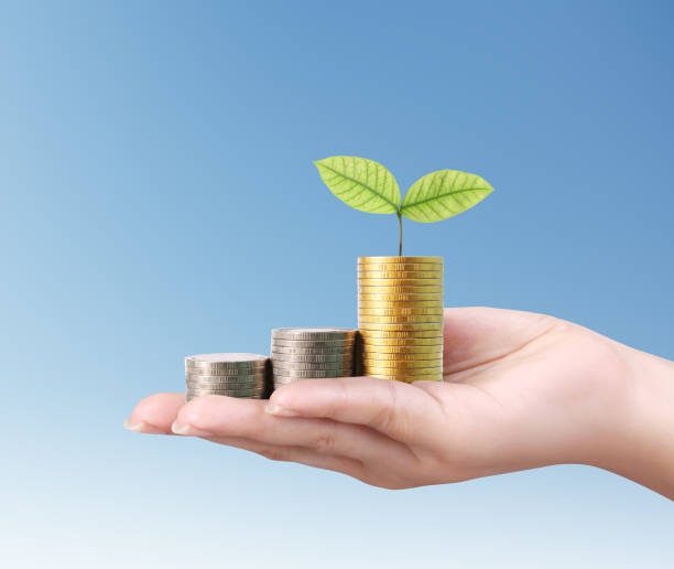 istock money growing from coins in hand 653829544