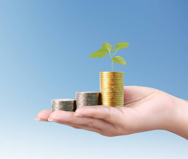 istock money growing from coins in hand 653829548
