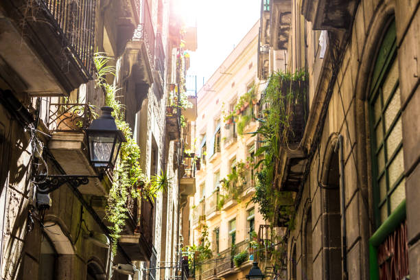istock Old Town Gothic Quarter in Barcelona 653834800