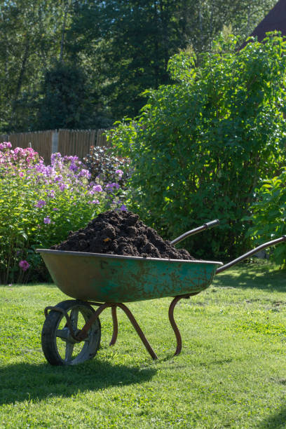 istock Garden-wheelbarrow filled with soil on a farm. 653840748